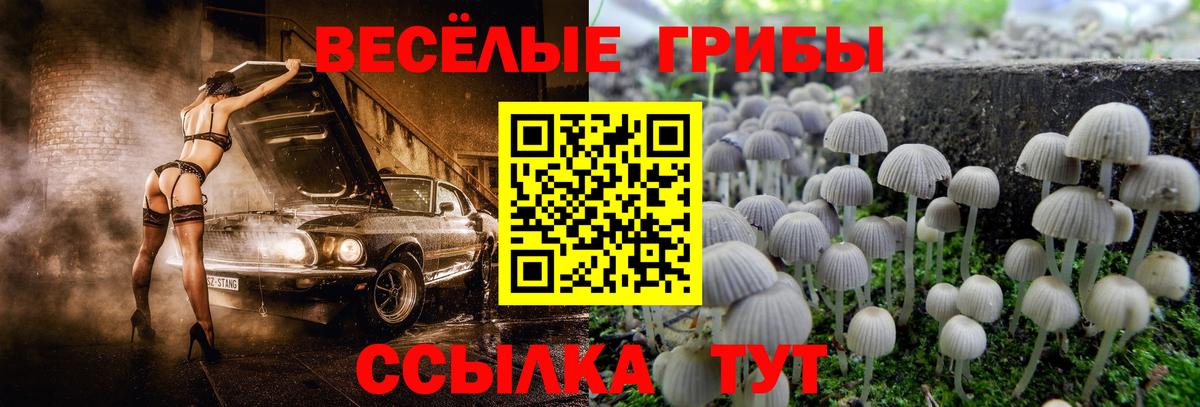 Псилоцибиновые грибы Magic Shrooms  Галлюциногенные грибы MAGIC MUSHROOMS  Вход с VPN  Камень-на-Оби 