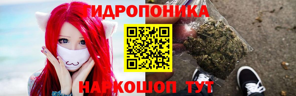 Конопля White Widow  Канабис AK-47  Вход с VPN  Камень-на-Оби  Бошки Шишки VHQ 